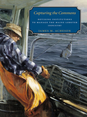 cover image of Capturing the Commons